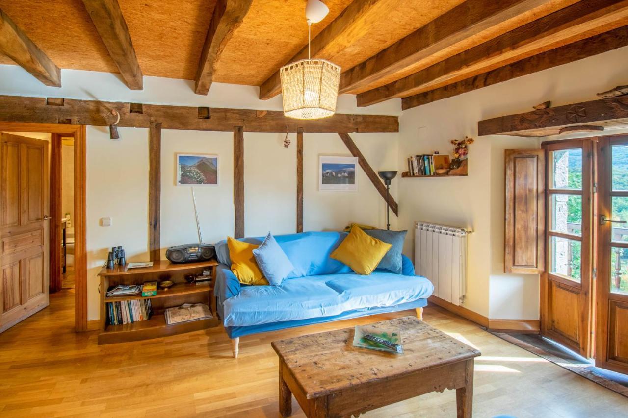 Casa Monaut, Acogedores Apartamentos A Los Pies De La Selva De Irati Saragueta Exteriér fotografie